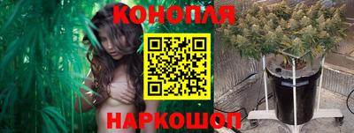 ALPHA PVP Партизанск